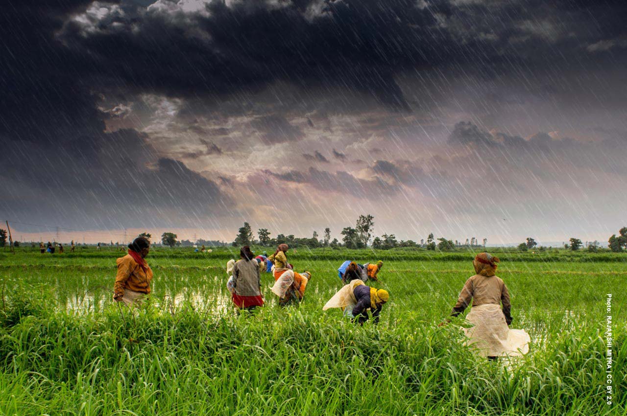 India-Digital-Ecosystem-for-Agriculture