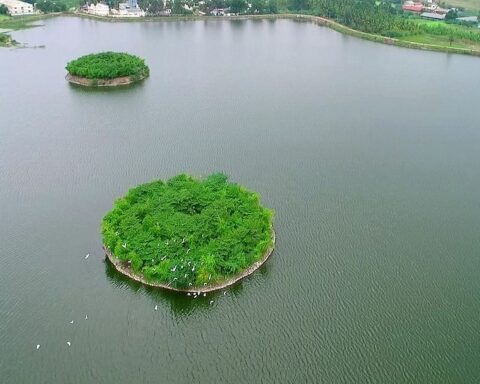 lake Andipalayam