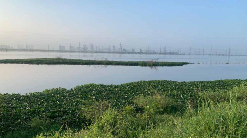 NGT Pushes Delhi, Haryana Governments To Enforce Najafgarh Jheel