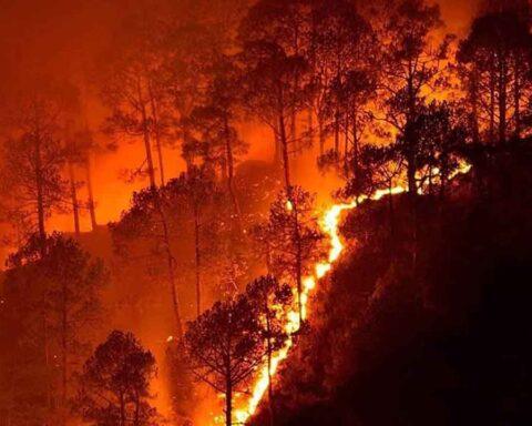 forest fire