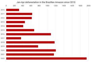 Deforestation in amazon forest