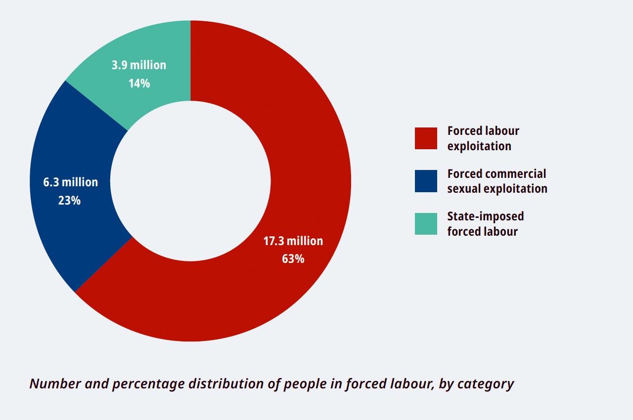 Modern Slavery Is On The Rise   Forced Labour Categorywise 