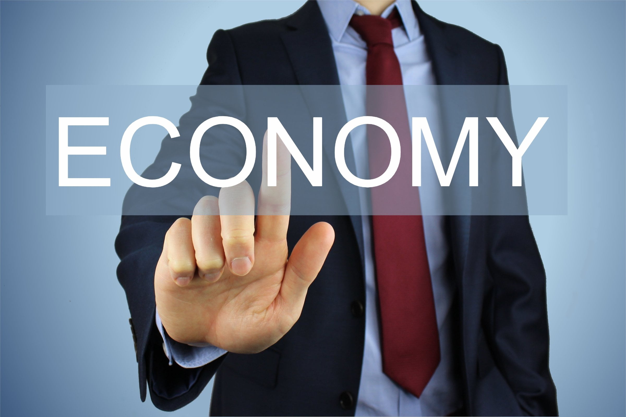 Economic Survey_Economy